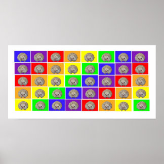 Igel Rainbow Poster