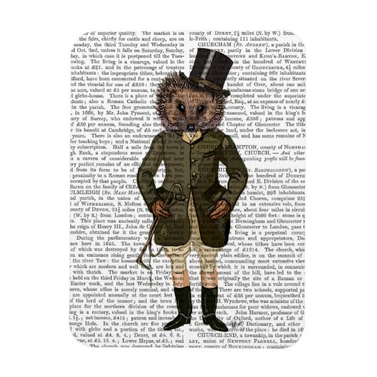 Igel Rider Full Magnet (Vertikal)