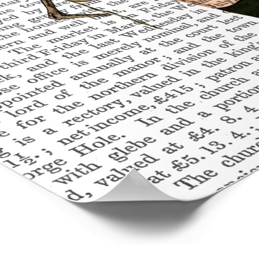 Igel Rider Full Poster (Ecke)