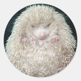 Igel Runder Aufkleber