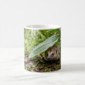 Igel schaut unter einem Blatt hervor Kaffeetasse (Mittel)