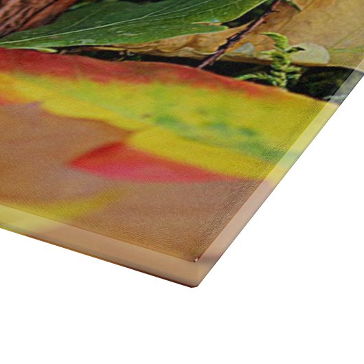 Igel Schneidebrett (Ecke)