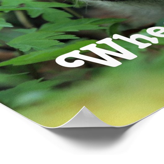 Igel Spaß Poster (Ecke)