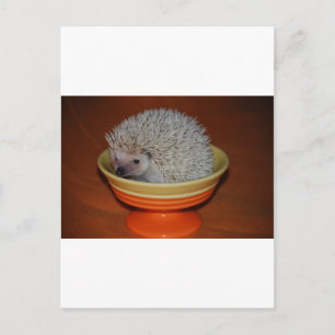 Igel Sundae Postkarte