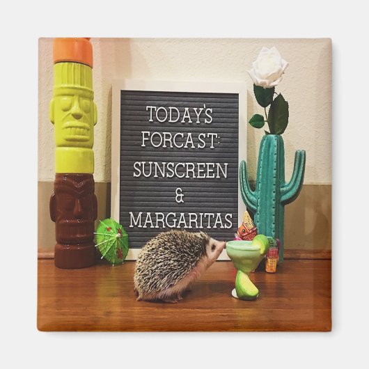 Igel Sunscreen und Margaritas Magnet (Vorne)