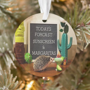 Igel Sunscreen und Margaritas Ornament