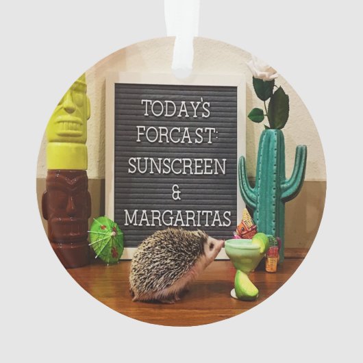 Igel Sunscreen und Margaritas Ornament (Rückseite)