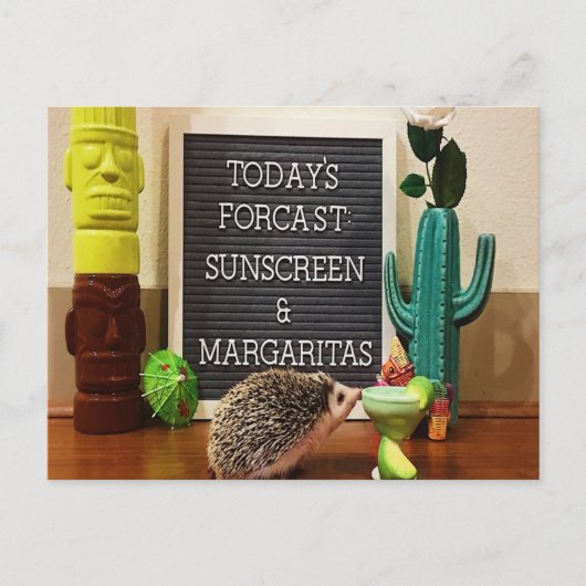 Igel Sunscreen und Margaritas Postkarte (Vorderseite)