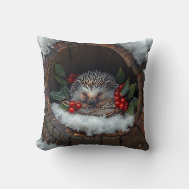Igel süße Winterfreude Kissen (Vorderseite)