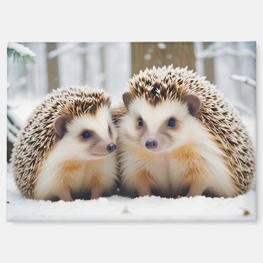 Igel Tier Natur Zuneigung Kümmern Magnet (Vorderseite)