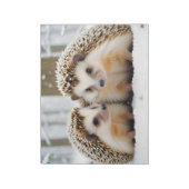 Igel Tier Natur Zuneigung Kümmern Notizblock (Rotiert)