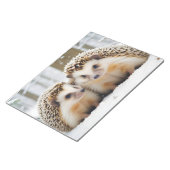 Igel Tier Natur Zuneigung Kümmern Notizblock (angewinkelt)