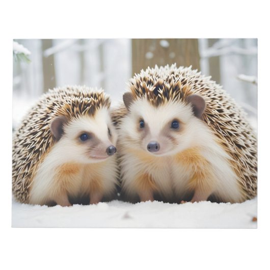 Igel Tier Natur Zuneigung Kümmern Notizblock (Vorderseite)