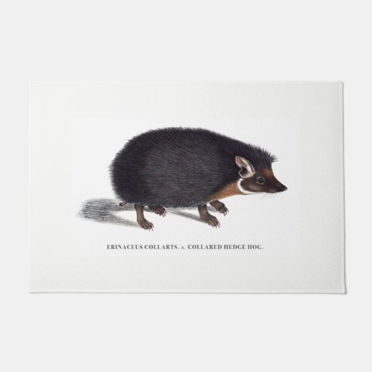 Igel-Türmatte Fußmatte (Vorderseite)