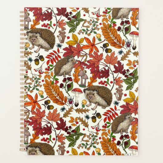 Igel und Herbstwaldflora auf Elfenbein Planer (Vorderseite)