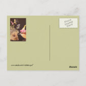 Igel und Karolina Postkarte (Rückseite)