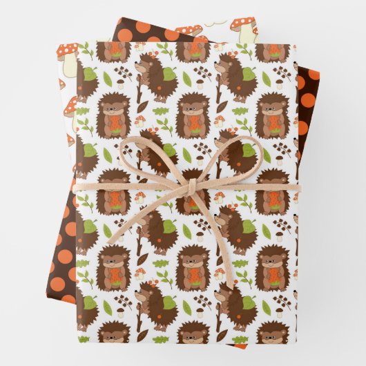 Igel und Umschlagpapier für Amanita Geschenkpapier Set (Beispiel)