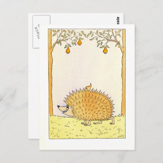 "Igel - Vintage Illustration Postkarte (Vorne/Hinten)