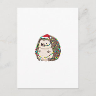 Igel Weihnachtsmann Hut Weihnachtsbeleuchtung Lust Feiertagspostkarte