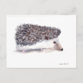 Igel wild lebender Tiere Postkarte (Vorderseite)