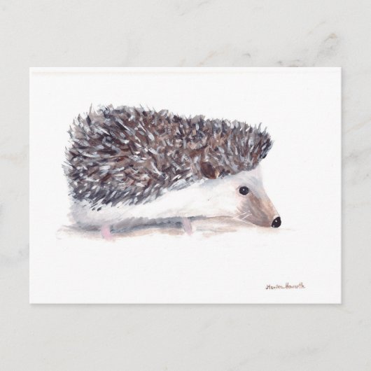Igel wild lebender Tiere Postkarte (Vorderseite)