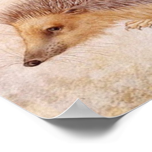 IGEL/Zeichnend Tier Poster (Ecke)