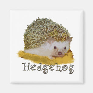 Igelmagnet Magnet