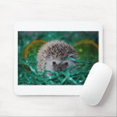 Igels-Baby in Ostern-Gras Mousepad (Mit Mouse)