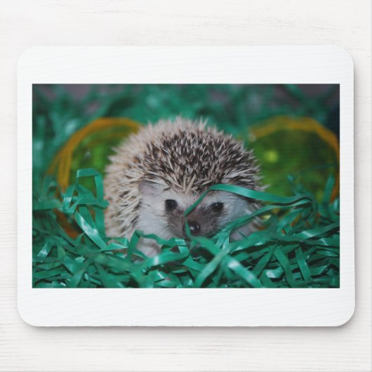 Igels-Baby in Ostern-Gras Mousepad (Vorne)