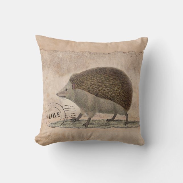 Igels-Kissen 20x20 Kissen (Vorderseite)
