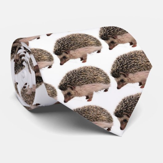 Igels-Kleidung Krawatte (Gerollt)