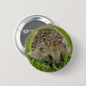 Igels-Knopf-Abzeichen Button (Vorne & Hinten)
