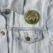 Igels-Knopf-Abzeichen Button (Beispiel)