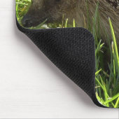 Igels-Mausunterlage Mousepad (Ecke)