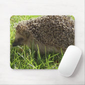 Igels-Mausunterlage Mousepad (Mit Mouse)