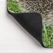 Igels-Nahaufnahme Mousepad (Ecke)