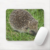 Igels-Nahaufnahme Mousepad (Mit Mouse)