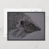 Igels-Postkarte Postkarte (Vorne/Hinten)