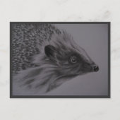 Igels-Postkarte Postkarte (Vorderseite)