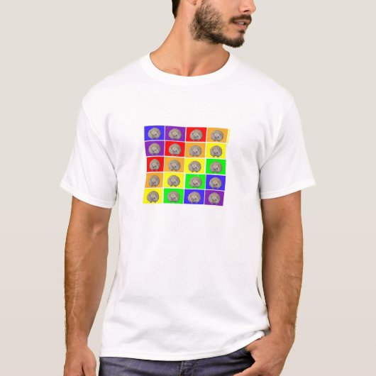 Igels-Regenbogen T-Shirt (Vorderseite)