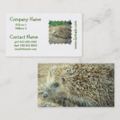 Igels-Sorgfalt-Geschäfts-Karten Visitenkarte (Vorne/Hinten)