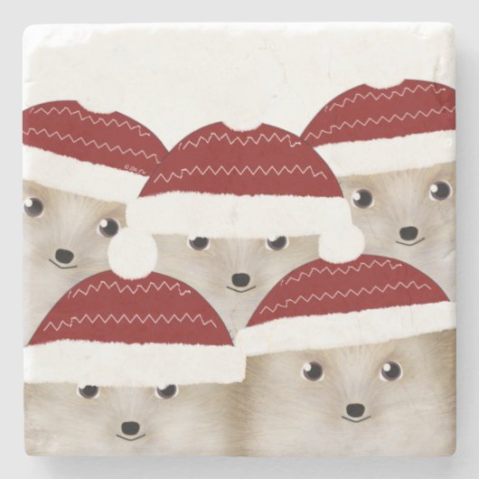 Igels Stone Untersetzer (Vorderseite)