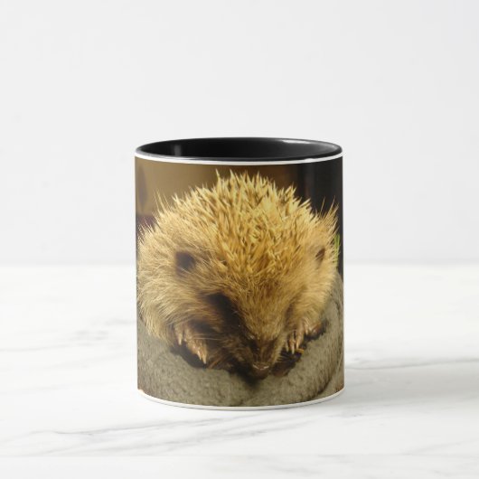 Igels-Tasse Tasse (Zentrum)