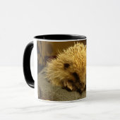 Igels-Tasse Tasse (Vorderseite Links)