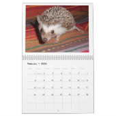 Igelsbabykalender 3 kalender (Feb 2026)
