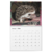 Igelsbabykalender 3 kalender (Jan 2026)
