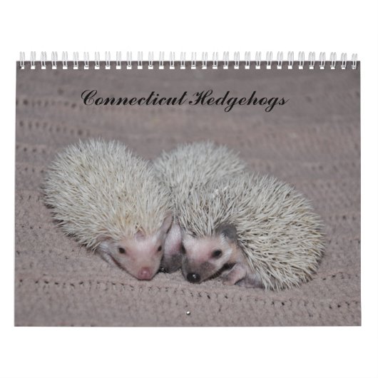 Igelsbabykalender Kalender (Titelbild)