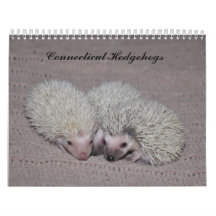 Igelsbabykalender