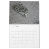 Igelsbabykalender Kalender (Mär 2027)