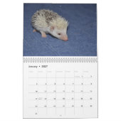 Igelsbabykalender Kalender (Jan 2027)